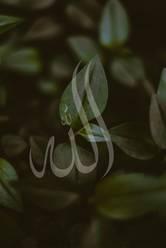 Natur Allahs No. 2 | Exklusive Islamische Fotografie Poster