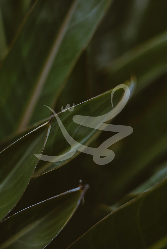 Natur Allahs No. 1 | Exklusive Islamische Fotografie Poster